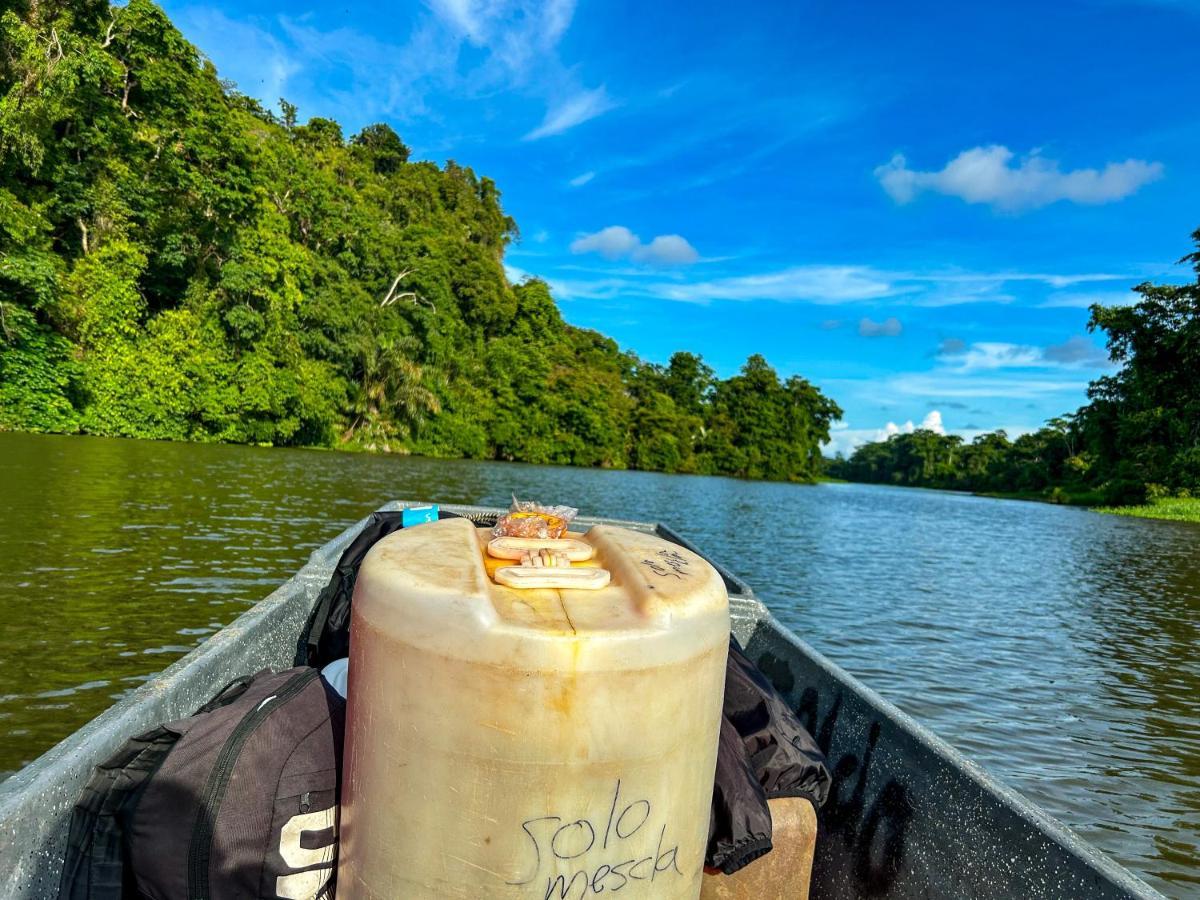 Departamento 7 Tortuguero Apartment Ngoại thất bức ảnh